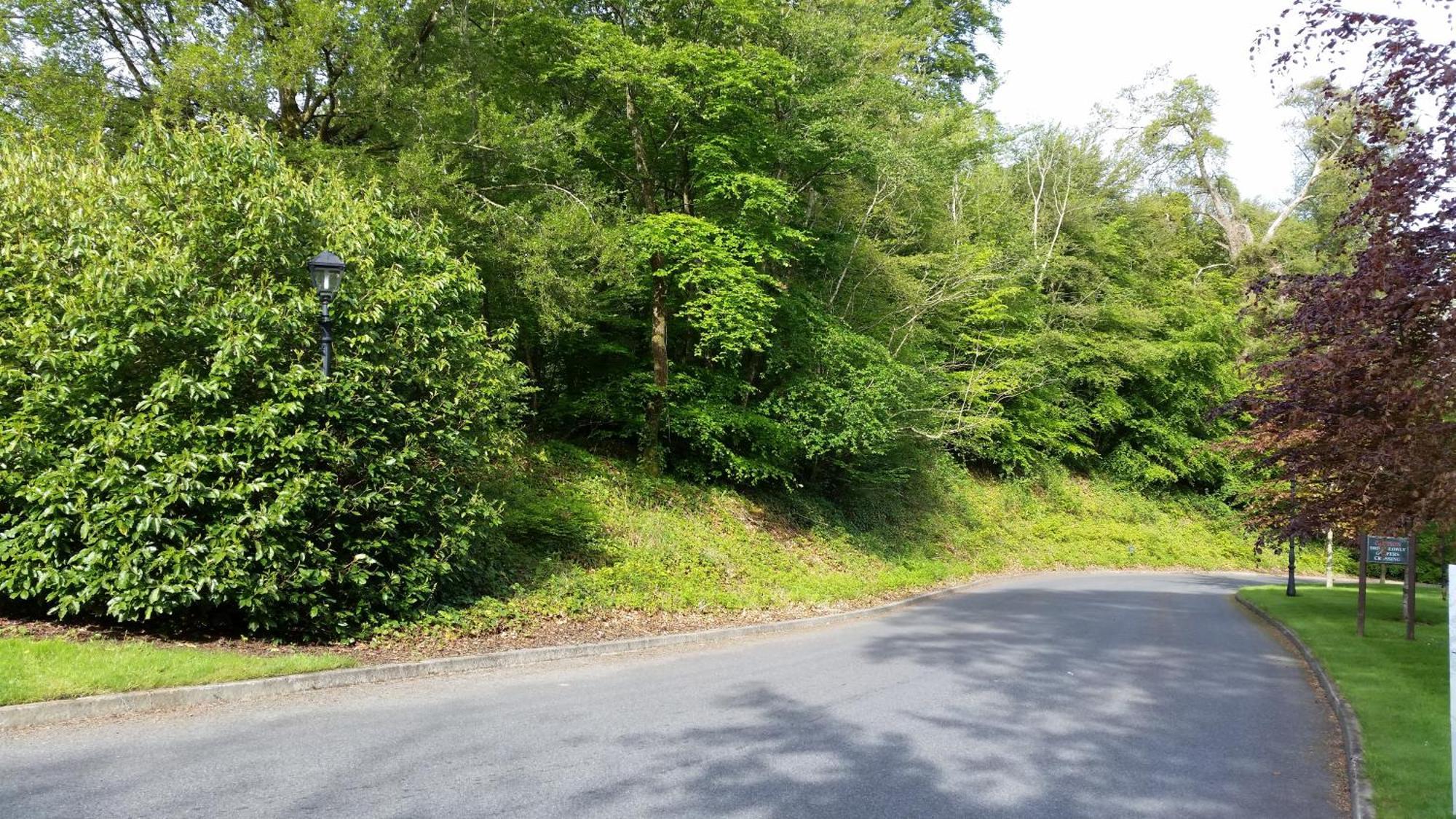 New Forest Estate Lodges Tyrrellspass Dış mekan fotoğraf